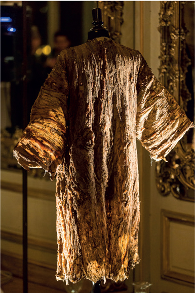 « Je m’habille en arbre » – Laura Druelle – Premier Prix Mathias 2017