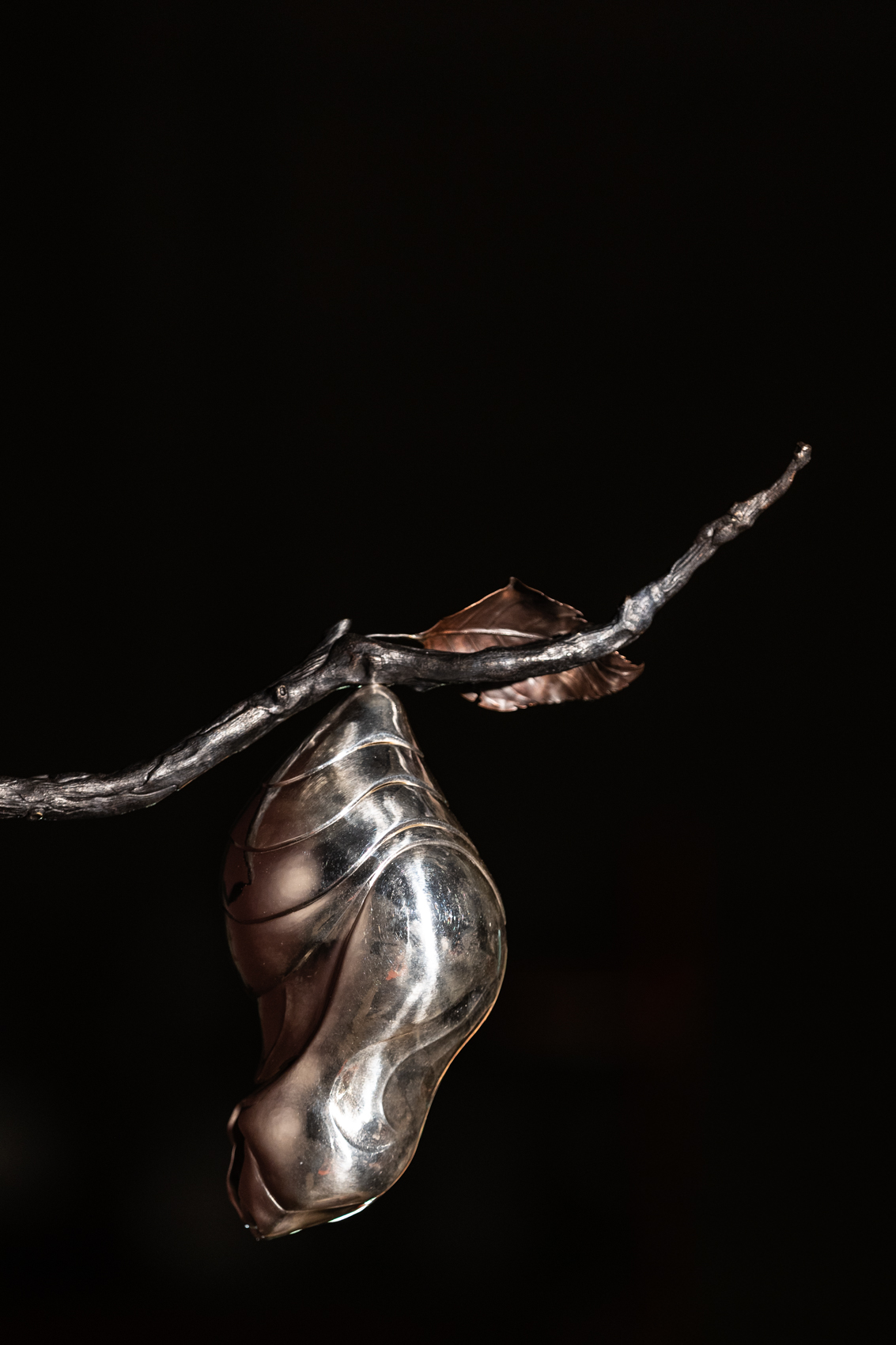 « Psychopompe » – Aoi Florio – Premier Prix Mathias 2025